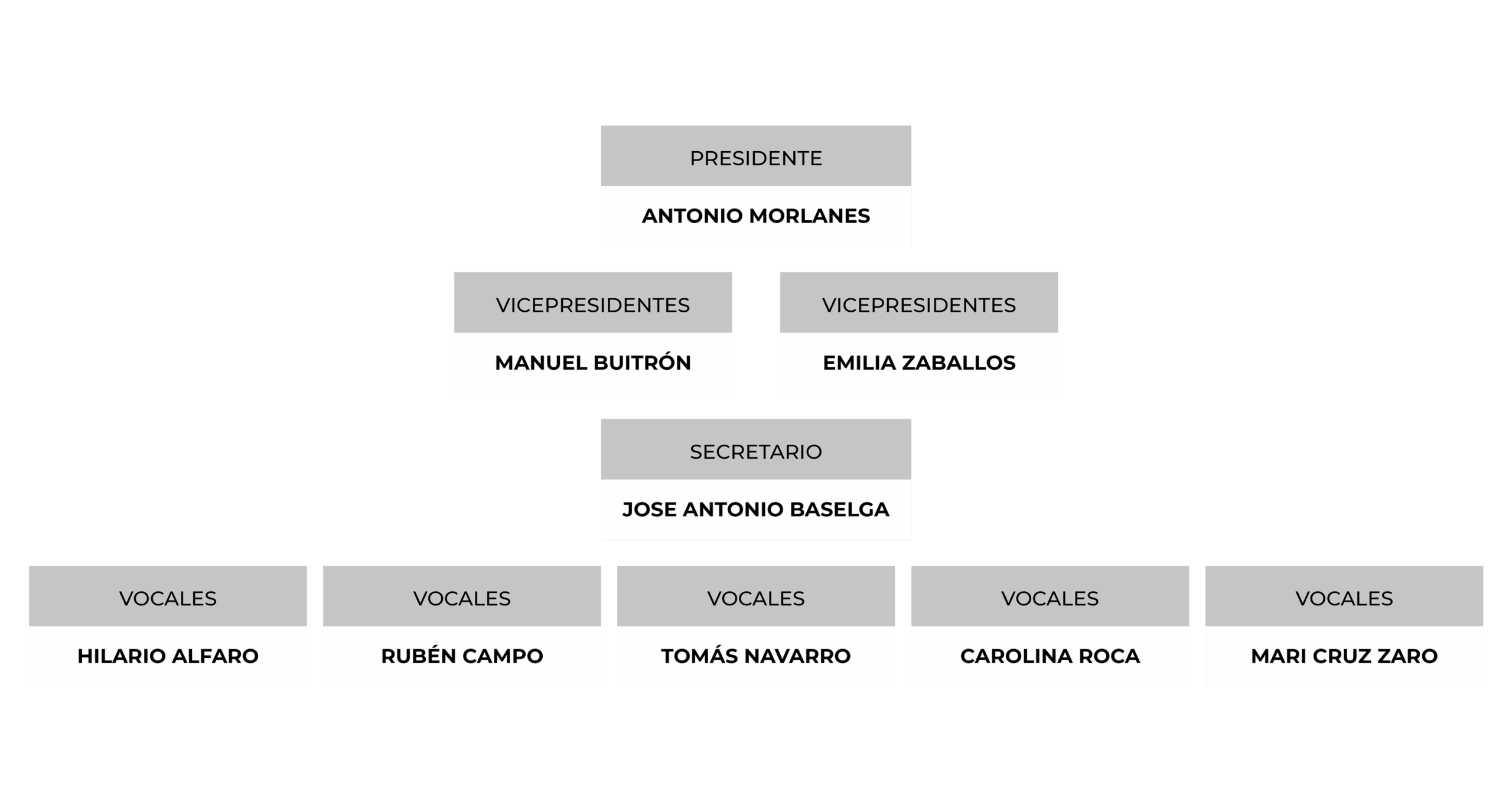 organigrama aragonex presidencia junta