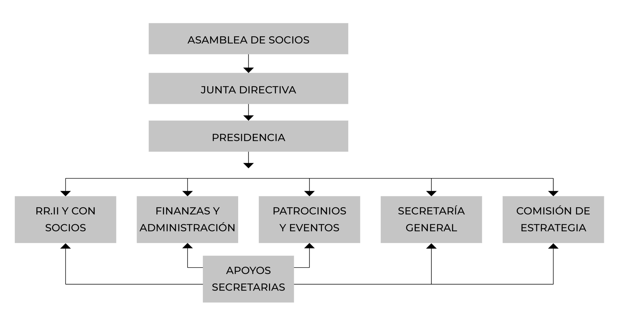 organigrama junta ejecutiva aragonex